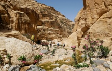 Wadi Ghuweir - Pétra